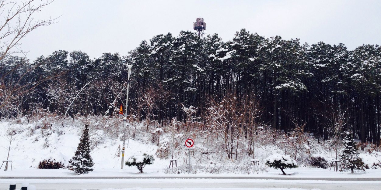 YunieYoon's profile banner image