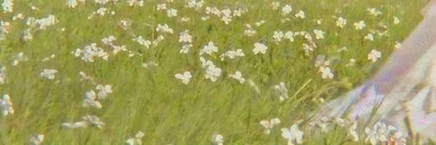 ً banner