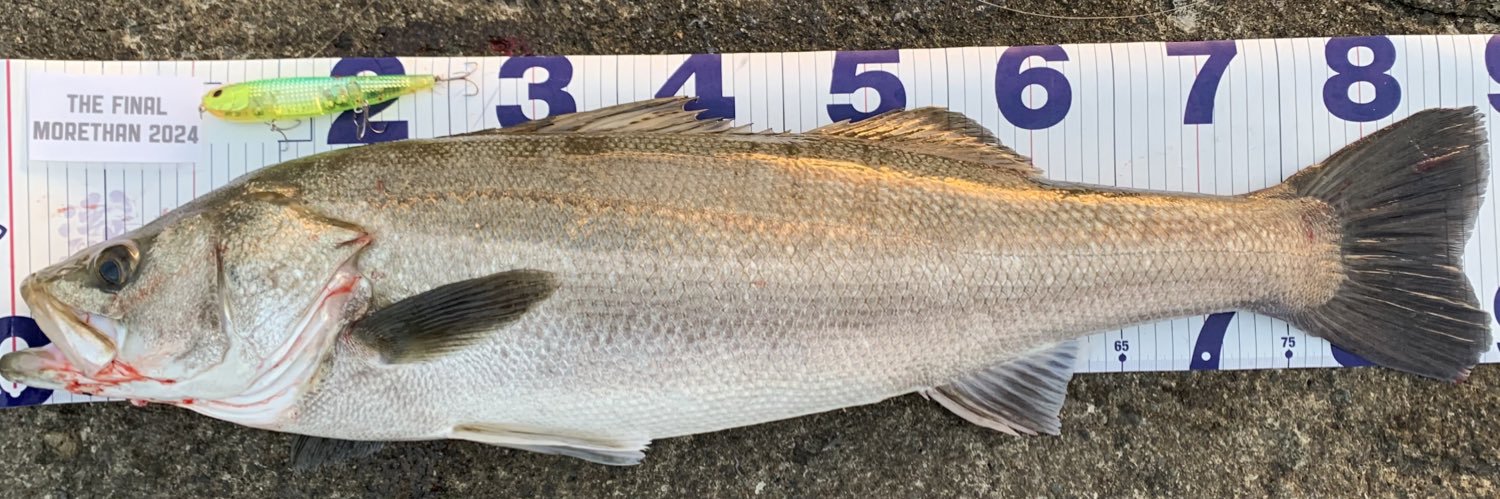 ryuki morohoshi banner