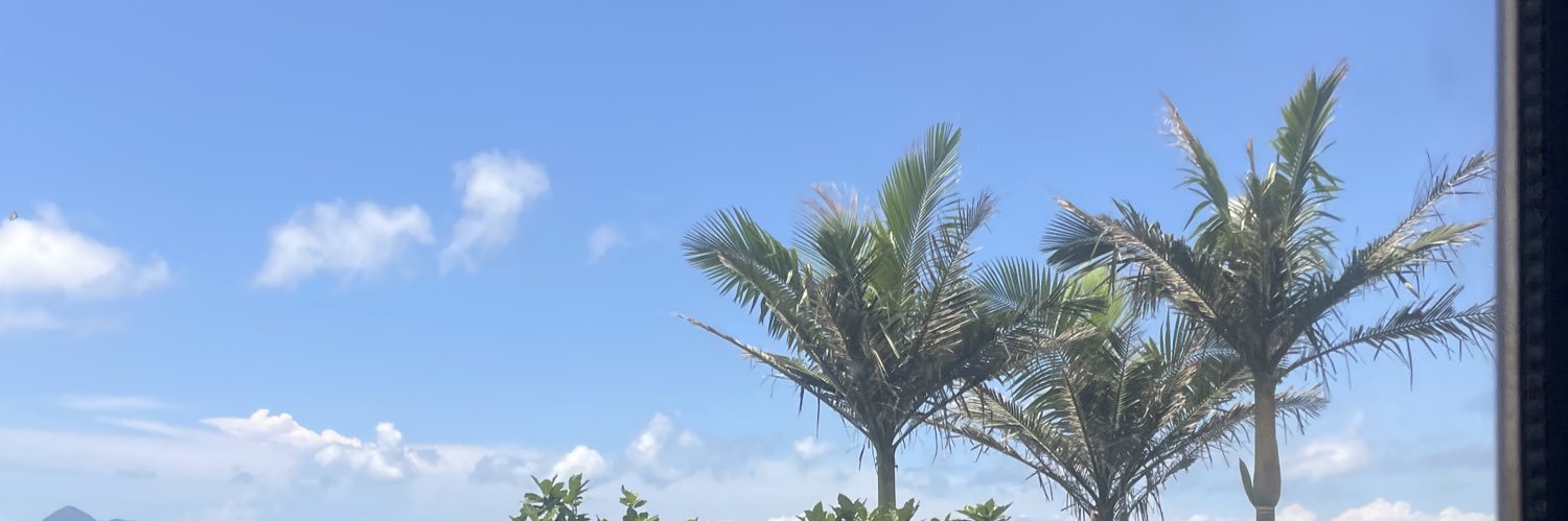 lep0p1L's profile banner image