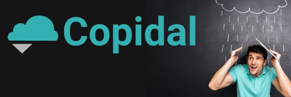 LS_Copidal Profile Banner