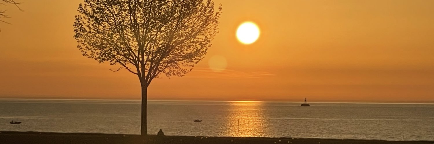 Anjanesh Lekshminarayanan banner