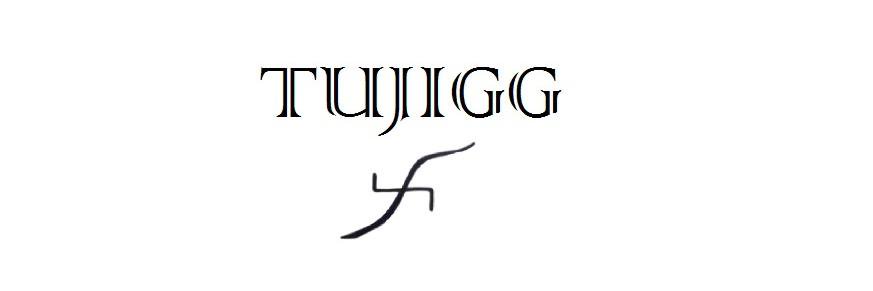 tujigg's profile banner image