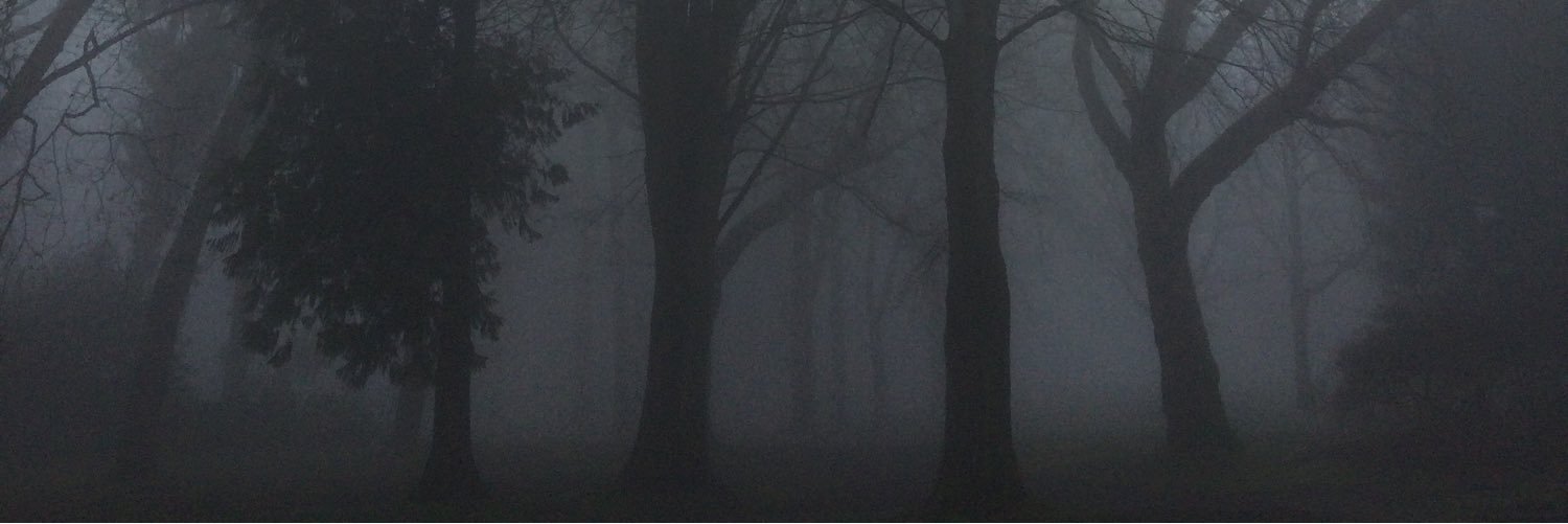 jonofthewoods's profile banner image