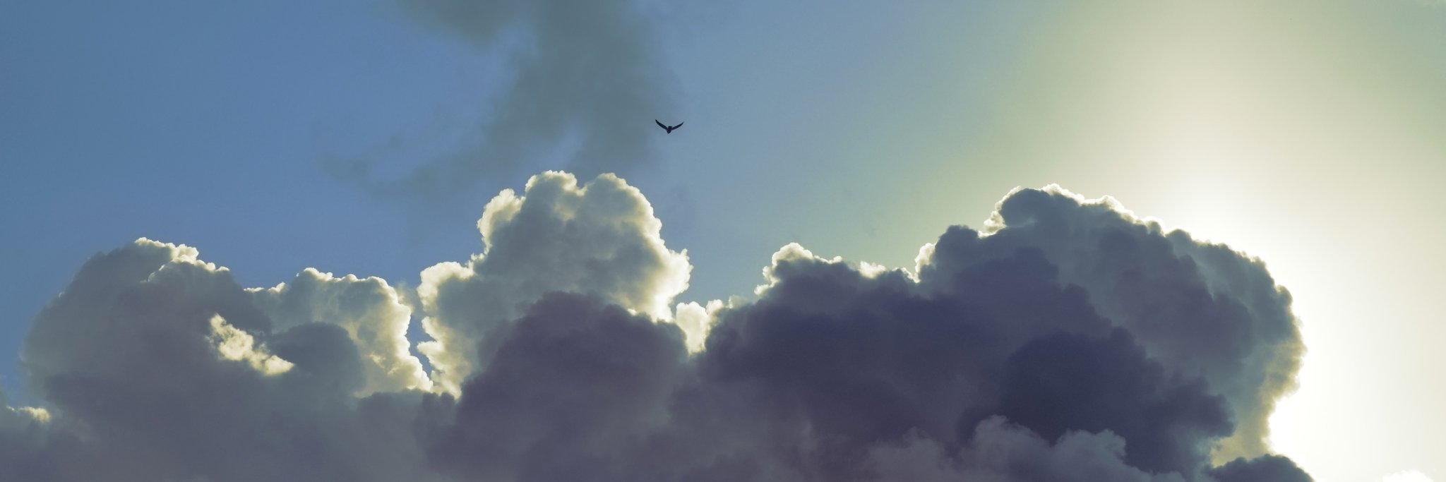 erikgrenestam's profile banner image