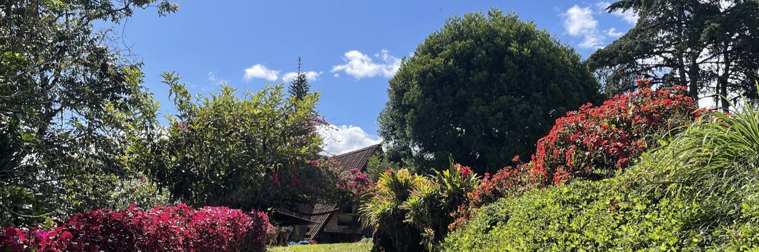 DiCaPoCo's profile banner image