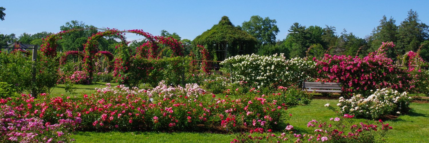 ElizabethParkCT's profile banner image