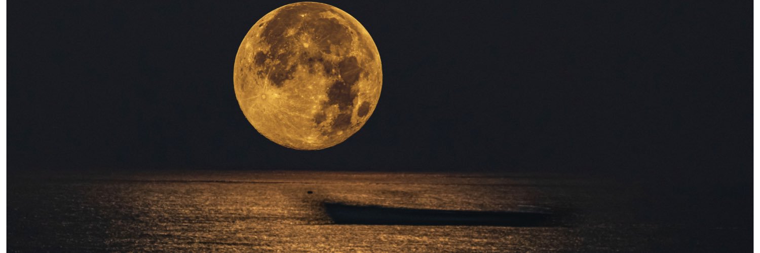 SpongeBob سپنج باب banner