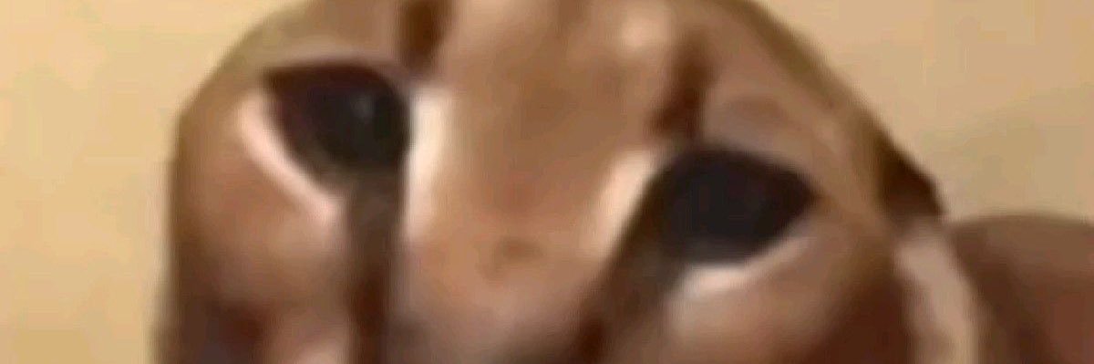 بطاطا مقلية banner