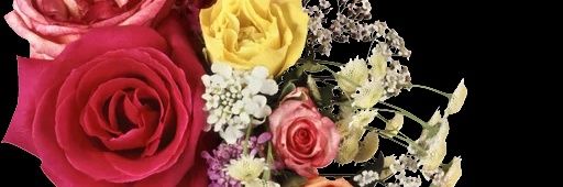 Mustafa7634's profile banner image