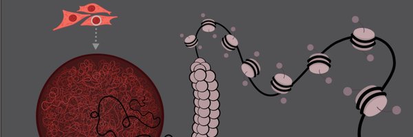 TheHectorFranco Profile Banner