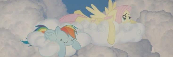 laura ᵕ̈ banner
