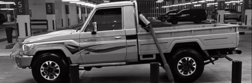 lvdvx banner
