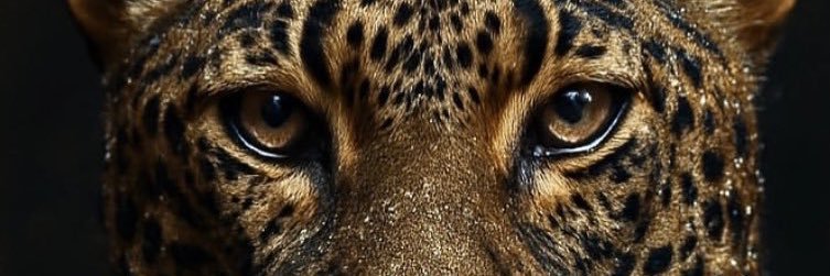 ModelEsraa20's profile banner image