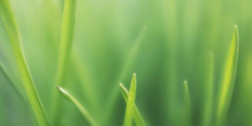 itamit2000's profile banner image