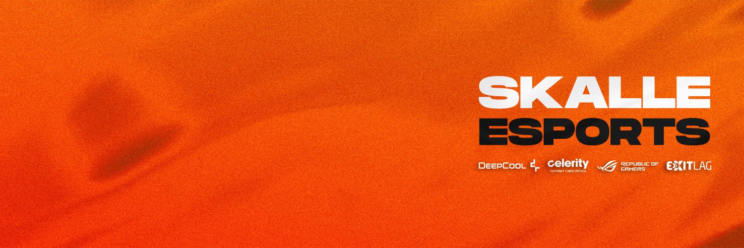 Skalle_ec's profile banner image
