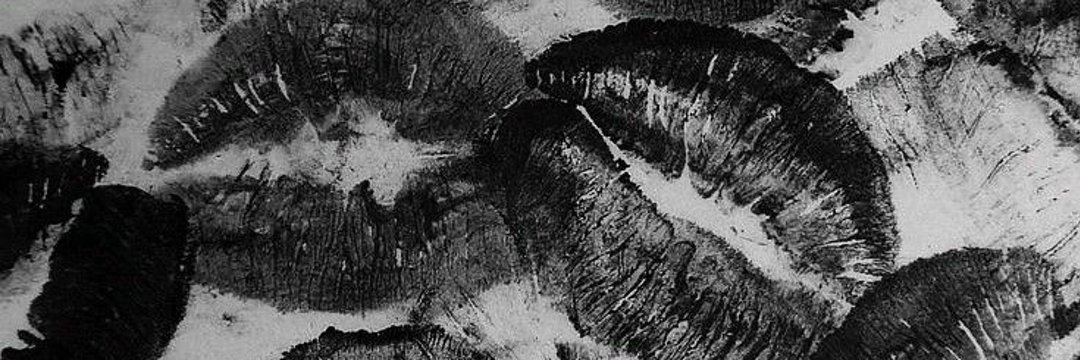 YOIKITIREX🦖 banner