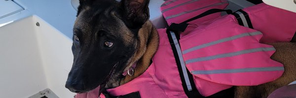 BarbaraInu1 Profile Banner