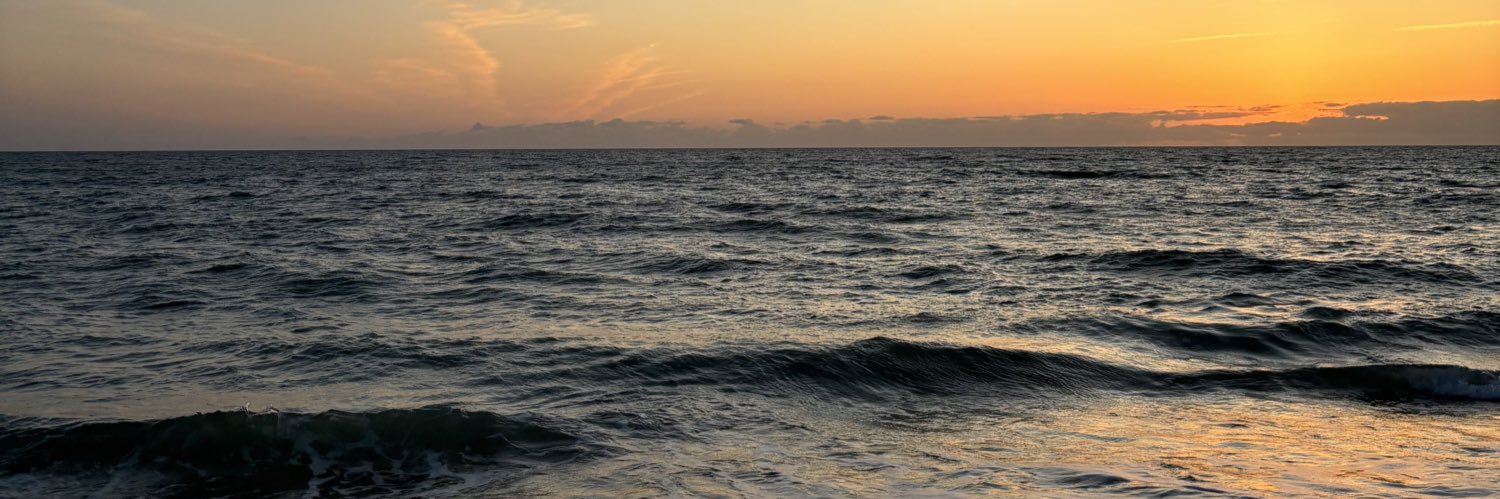 _joanamarques__'s profile banner image