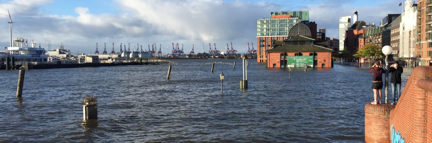 Klimaentscheid-Hamburg banner