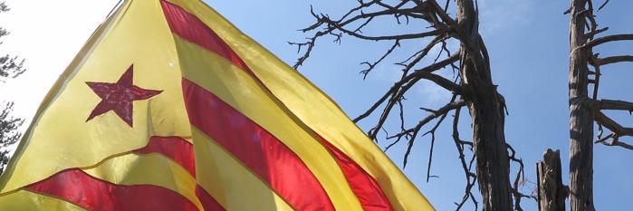 Marià Miró Manubens banner