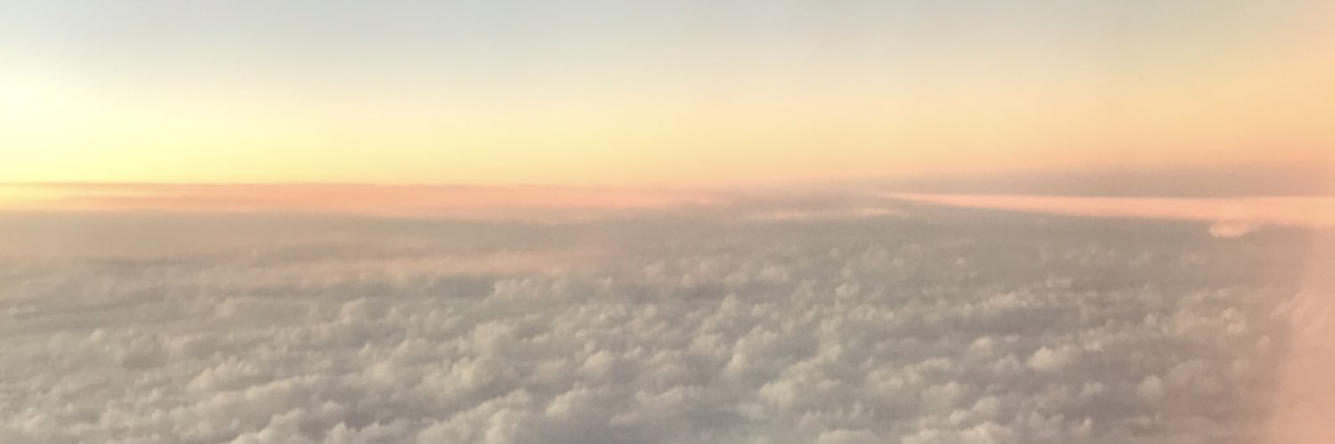 appleappoo's profile banner image