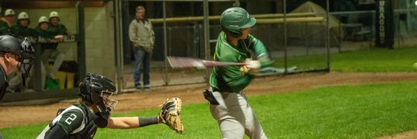 pliu102 Profile Banner