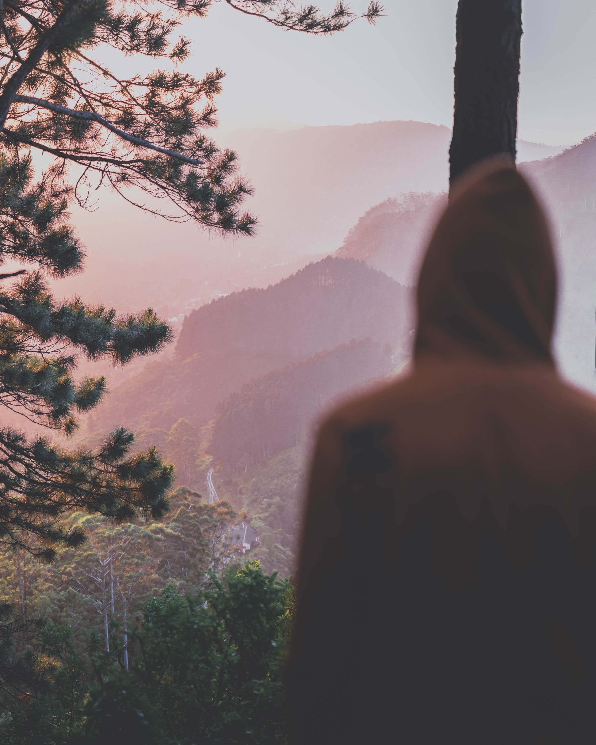 Reshan Chathuranga banner