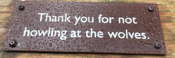 ColleenLindsay Profile Banner