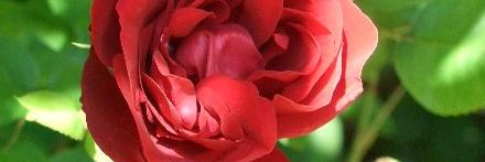 WhitingEaton's profile banner image