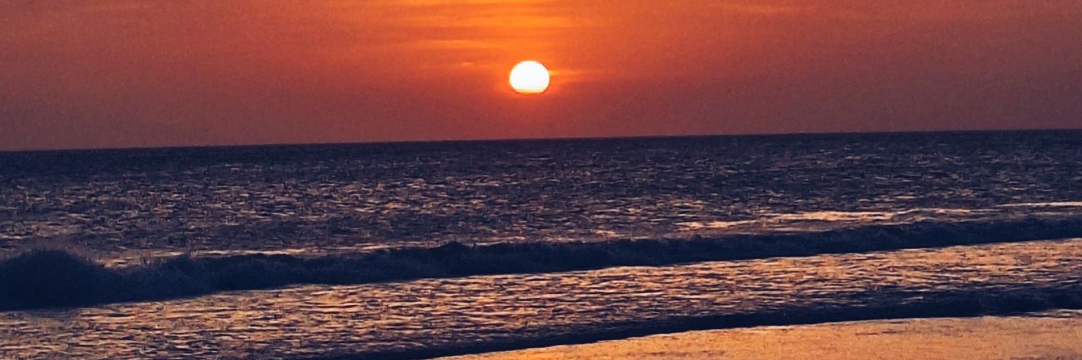 T0mitomass_'s profile banner image