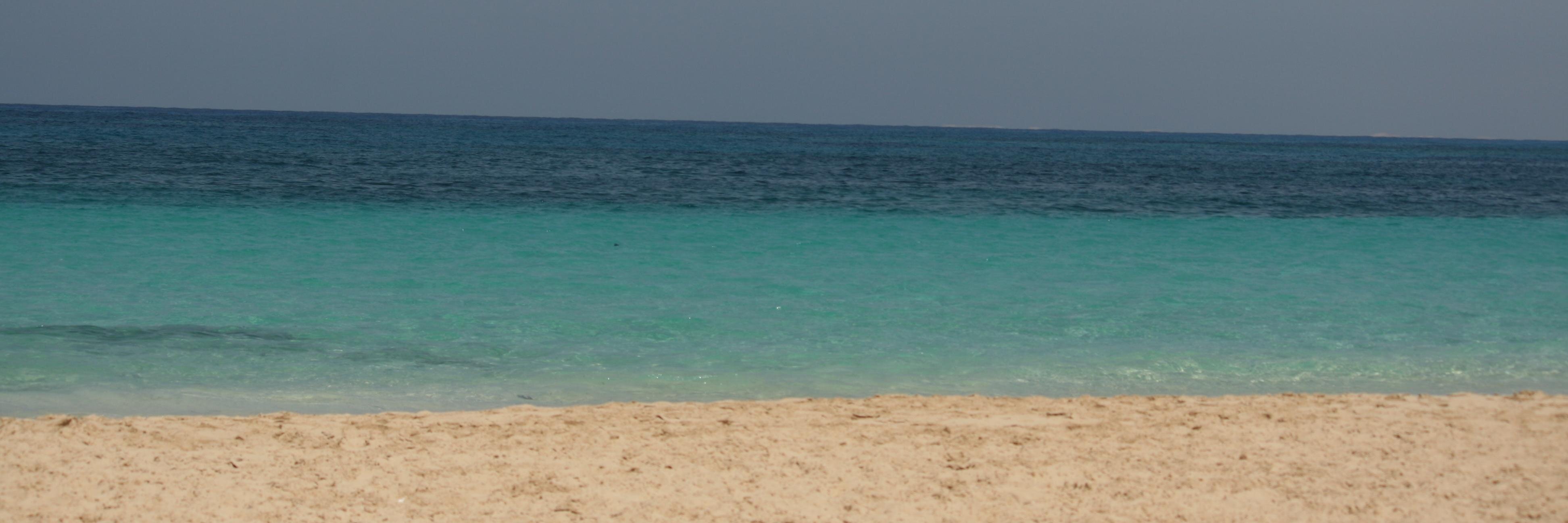 ledi's profile banner image