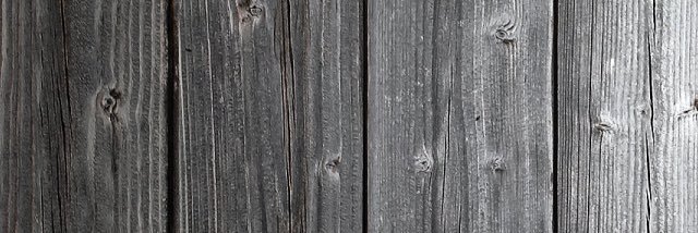 FlorianFillafer's profile banner image