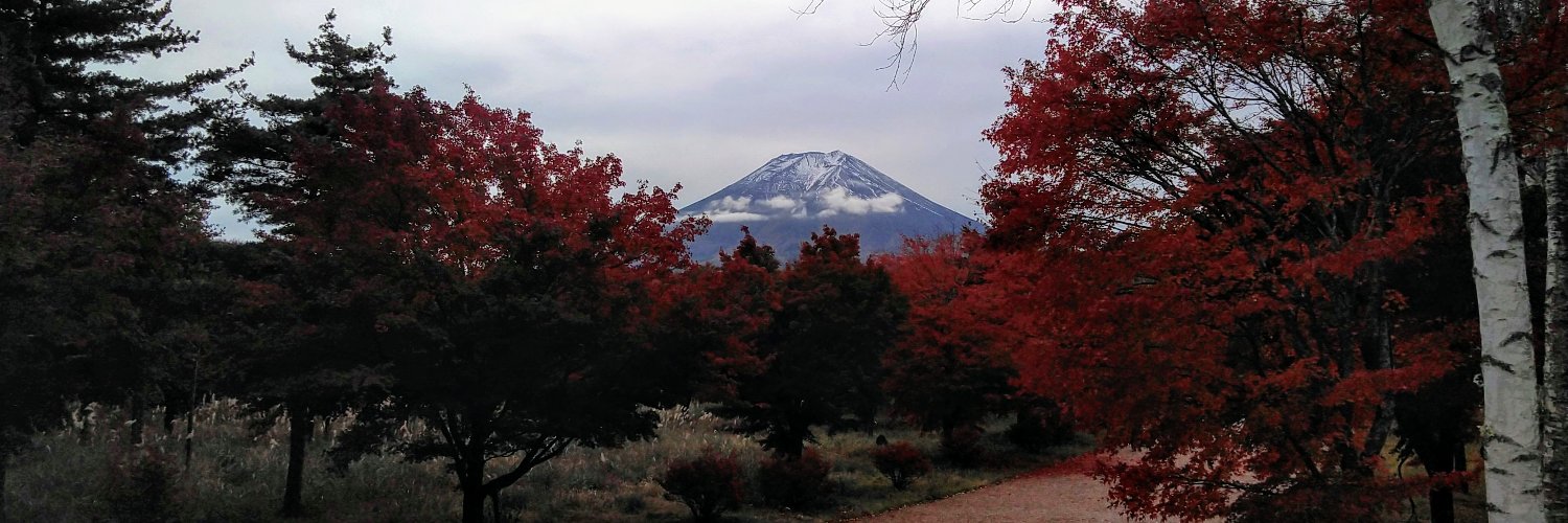GOROTAch6's profile banner image