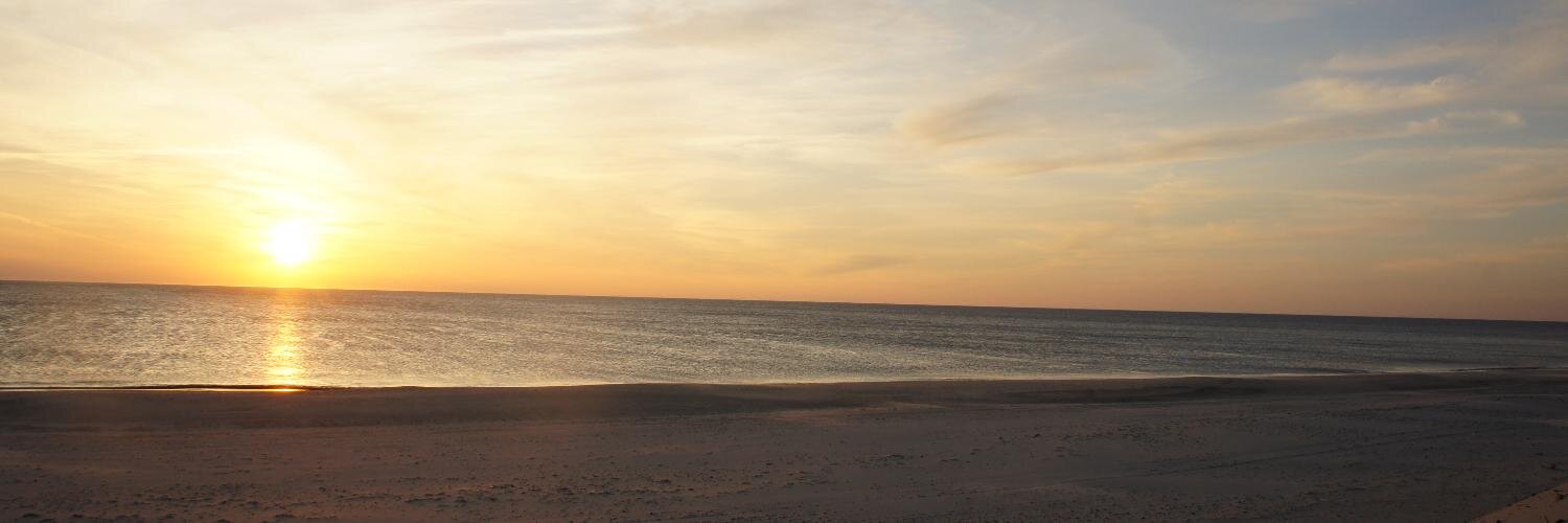 Sönke E. Schulz banner