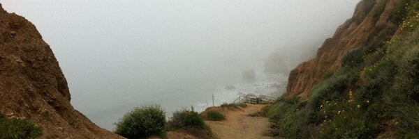 movaMedia Profile Banner