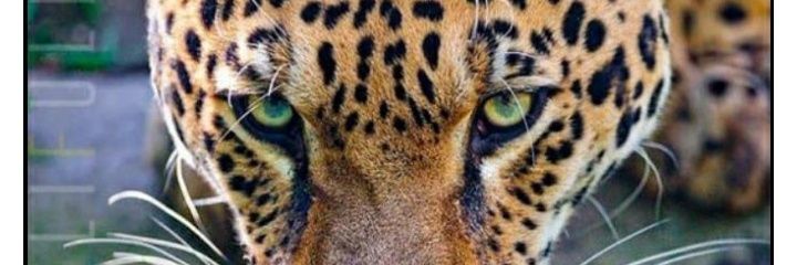 AndersonPrado75's profile banner image