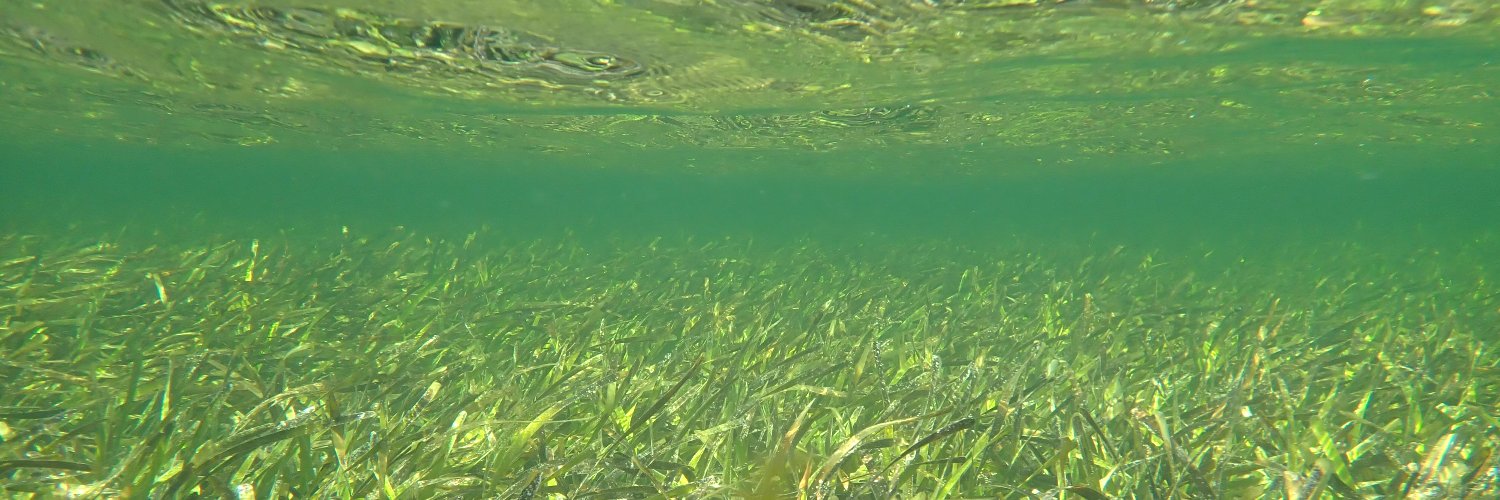 Caitlyn O'Dea banner