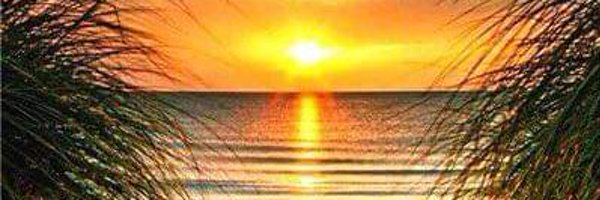 side_gal Profile Banner