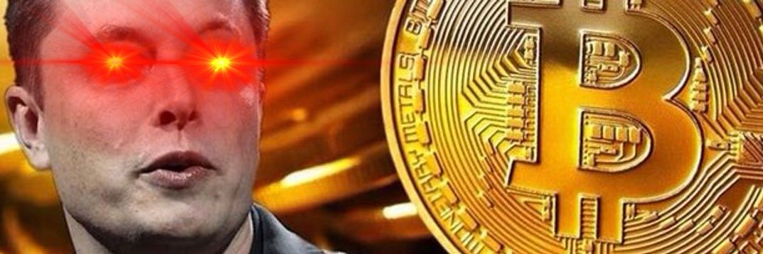 투자 유목민🩸스테이블+토큰화무새 banner