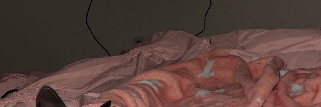 Dick slayer💦🤤 banner