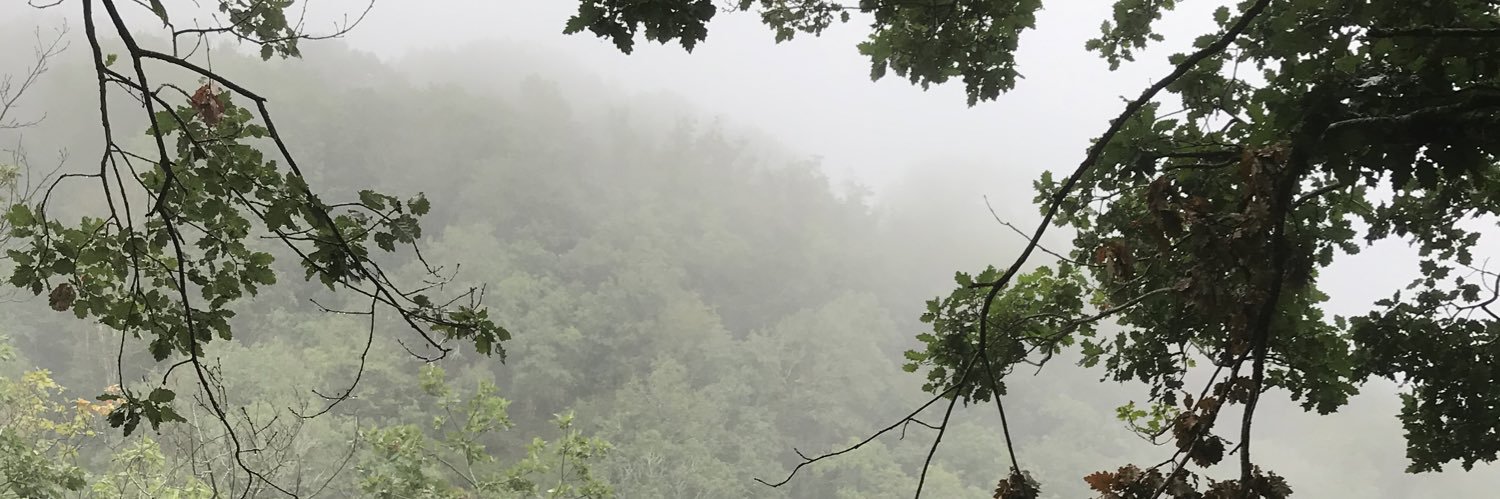 VDBrenda's profile banner image
