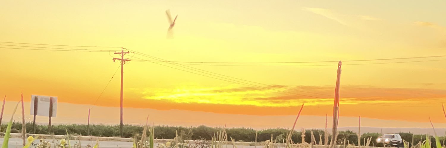 lau_bem's profile banner image