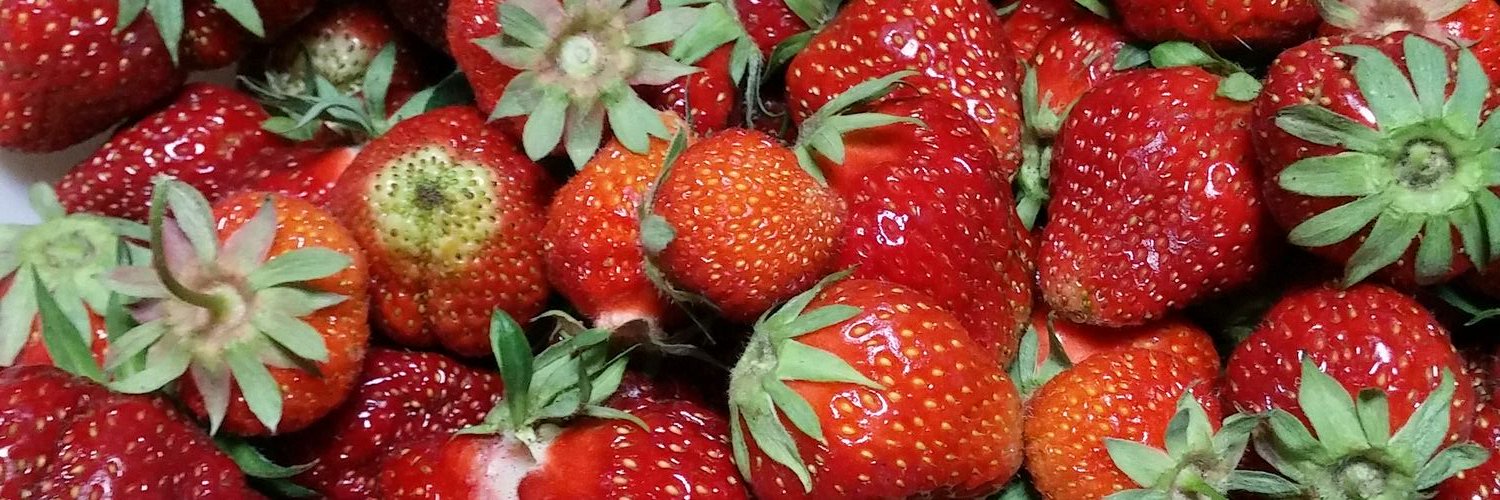 26Nut's profile banner image
