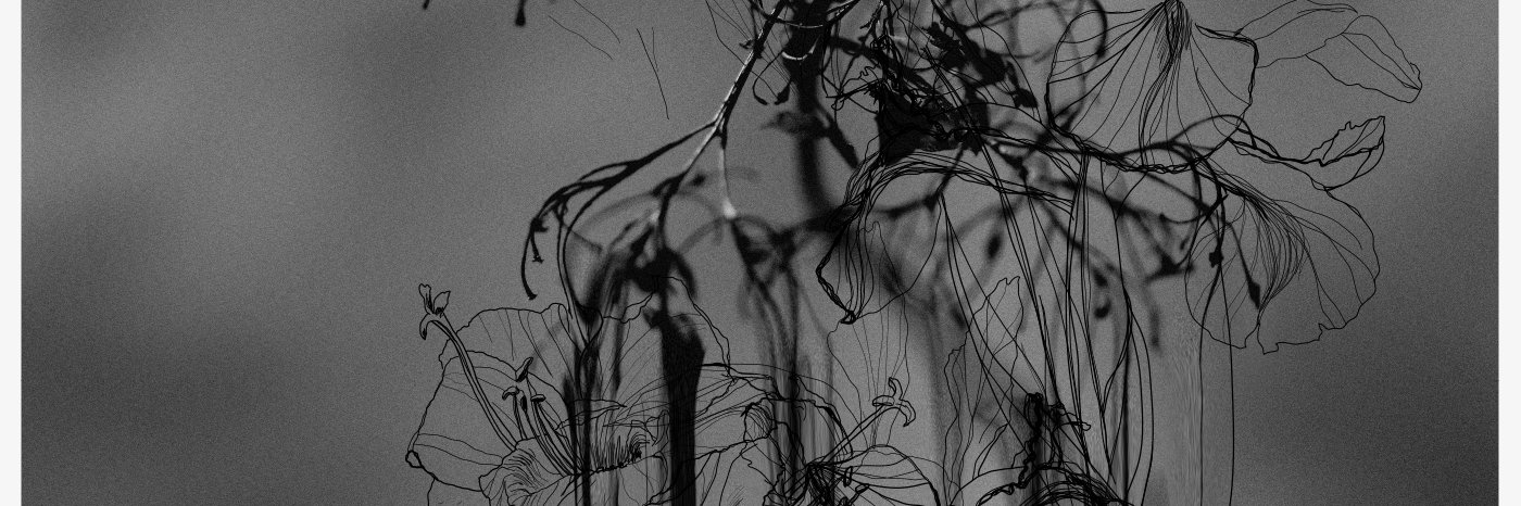 noj_99's profile banner image