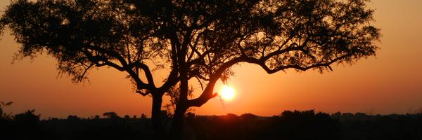 nuketa Profile Banner