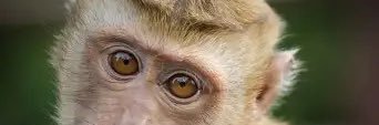 memesniper2's profile banner image