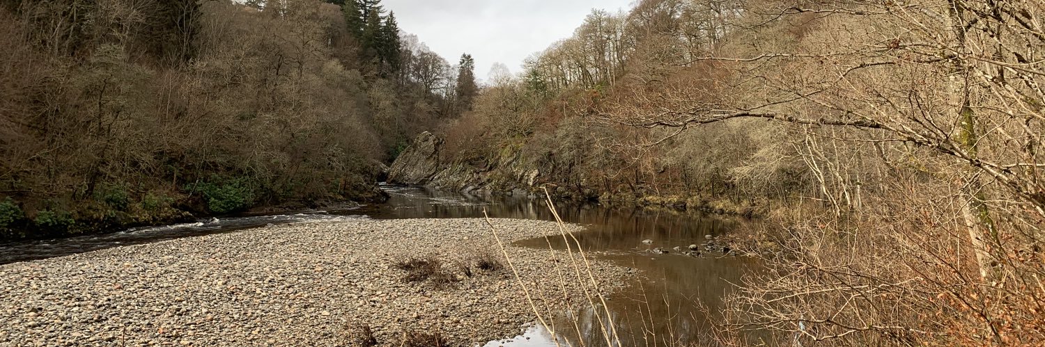 bouncebackst's profile banner image