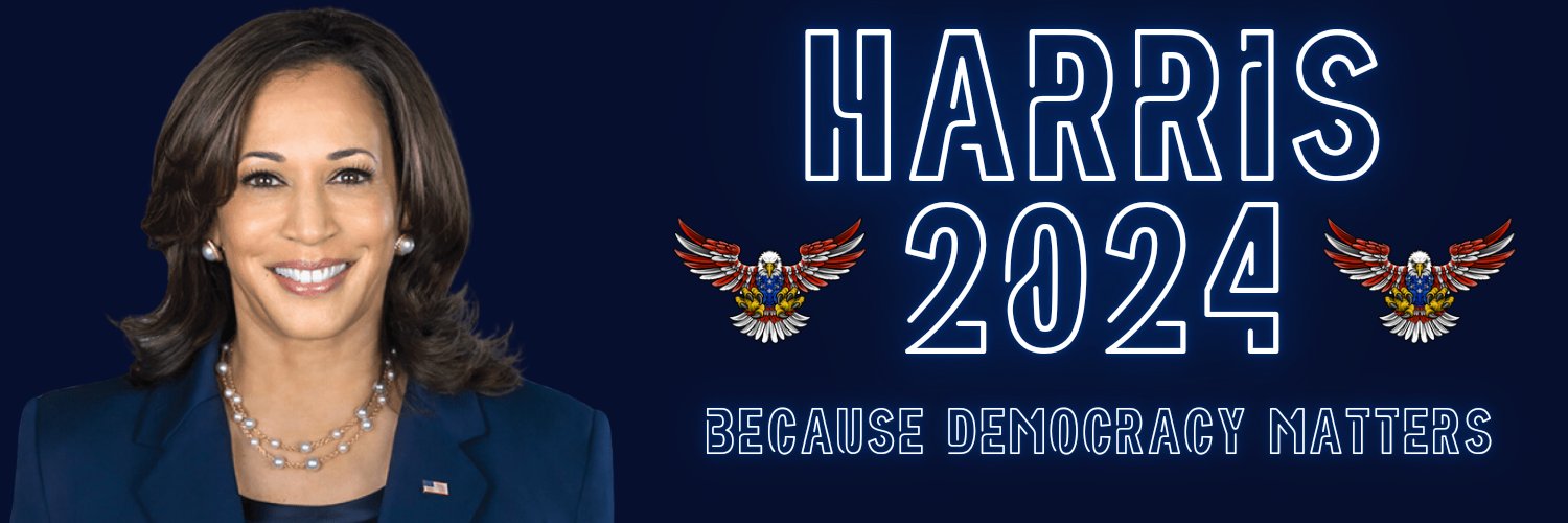 Sometimes Why (Lee Lee @haplesstoad on Post) banner