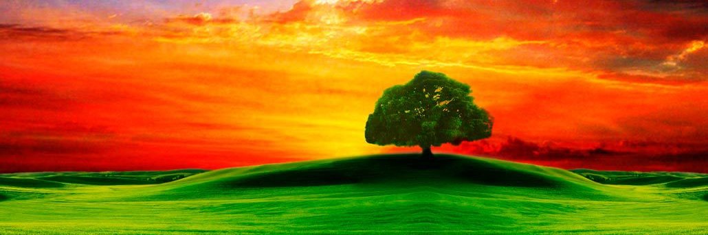 Sarah3k11's profile banner image